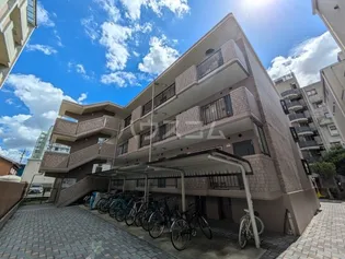 シティサンフラワーの画像