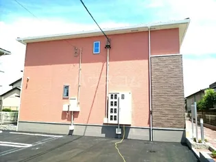 エクセランⅦの画像