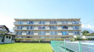 ブループランツの画像