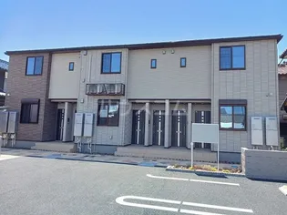 サザンクロスの画像