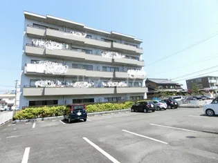 MSコーポの画像