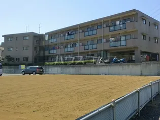 スターハイム朝霞の画像