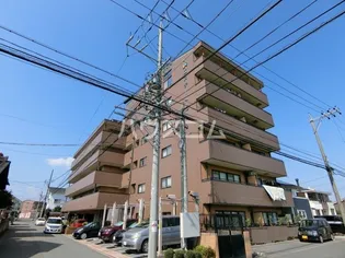 エステート15の画像