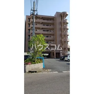 アコールヤマショウの画像