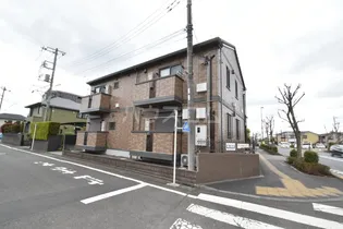 アムールの画像