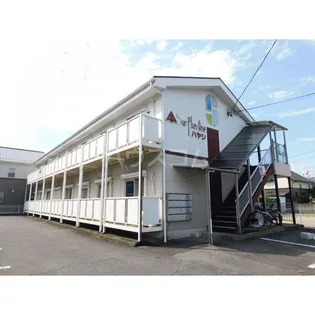 サープラスIハヤシの画像