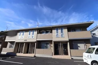 ゼルコーバ Bの画像