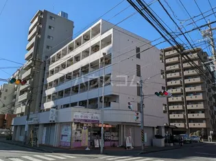 シングルハイツ相模大野【0501号室】の外観