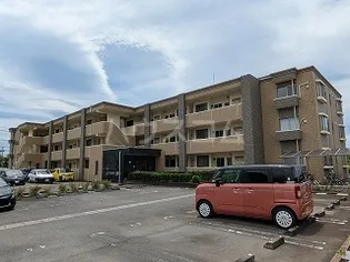 ベッラ ビスタの画像