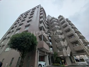 ビュー雷神の画像