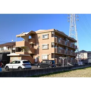 ドリーム井内の画像