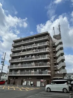 アピオンの画像