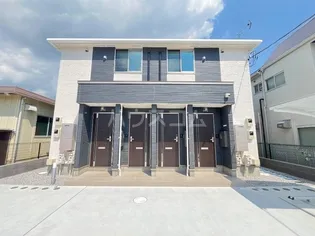 ファシノの画像