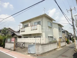 チアハウス杢の画像