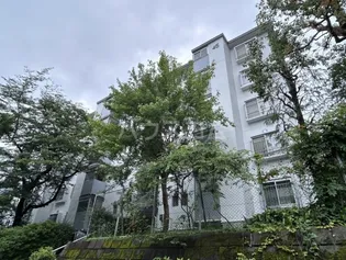 宮前平グリーンハイツ45号棟の画像