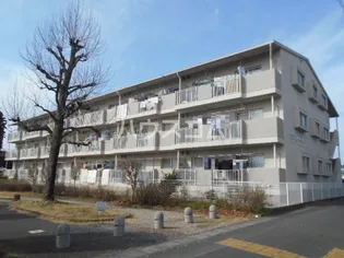 プロムナードMの画像