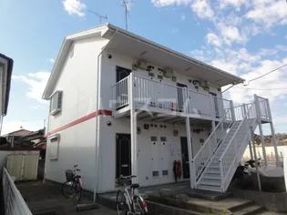 オプスマロニエの画像