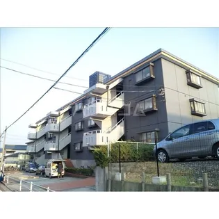 チュリス一社の画像