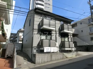 メルハイム桔梗の画像