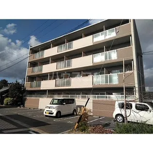 ラフィーネシャラの画像