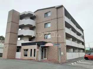 サンシャインユタカの画像