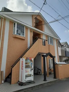 グレースシャインナカムラの画像