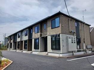 ホワイトクロッカスの画像