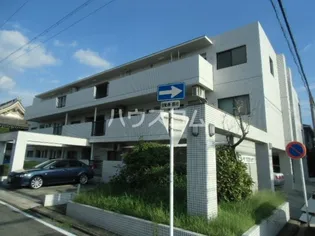 カーサソロチョウの画像