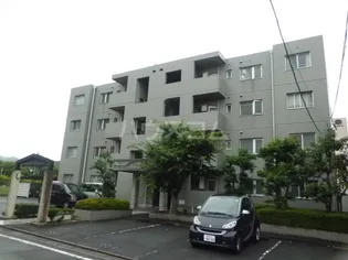 マロン ドゥムールの画像