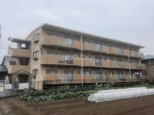 キャトルセゾンIIの画像