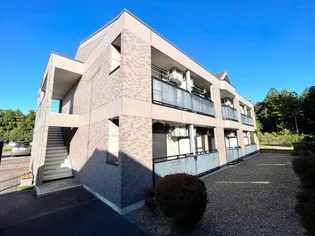 シェルルーY'Sの画像