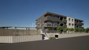 ガーベラ グレイスの画像