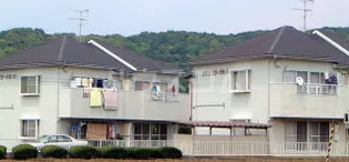 静岡県袋井市豊沢【アパート】の外観