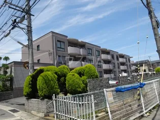 ローファス パートⅡの画像