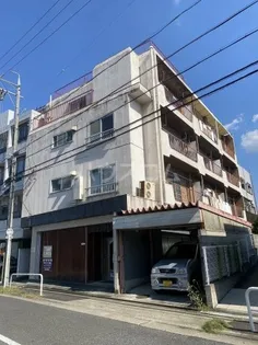 カリテプリの画像