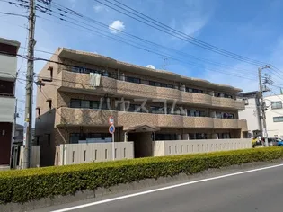 モア ライフ芝の画像