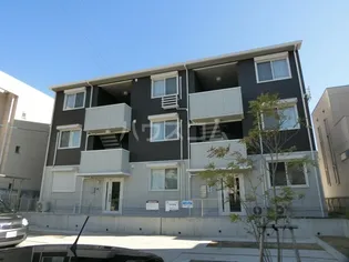 プルメリアの画像