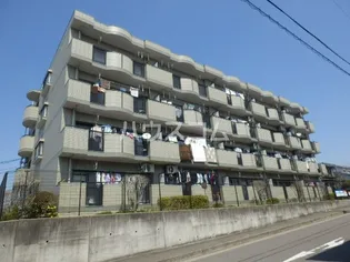 グリーンヒルズの画像