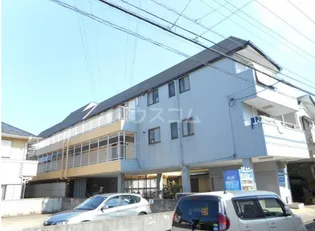 KODAガーデンの画像