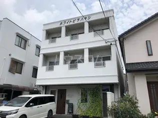 ホワイトビラハヤシの画像