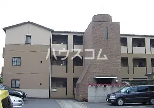 NEXUS TSUJIの画像