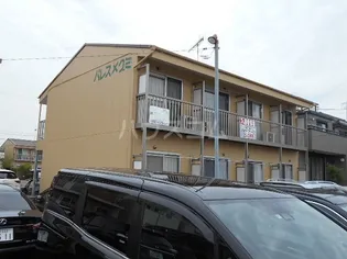 パレスメグミの画像