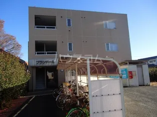 ブランドールの画像