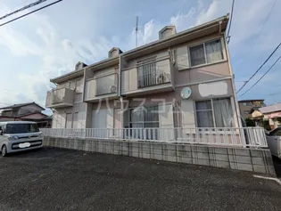 シオン花咲の画像