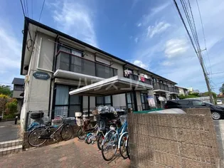 ヤシャルゆりのきの画像