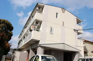 エストレーラの画像