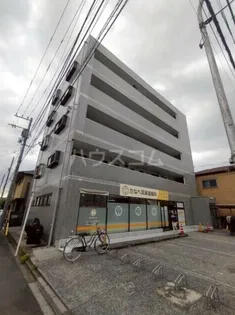 メゾンドールの画像