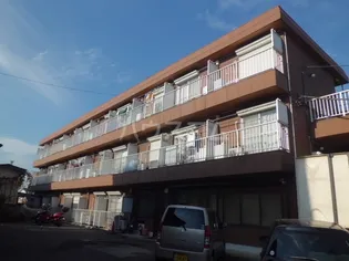 エントピアの画像