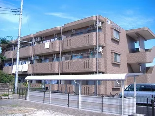 Y M TERAUCHIの画像