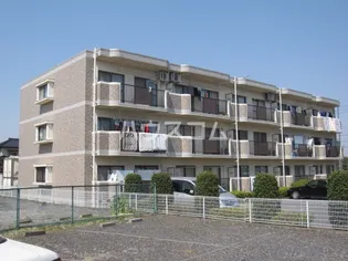 ミマスコートの画像